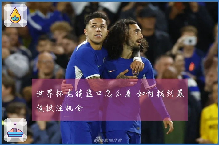 世界杯竞猜盘口怎么看 如何找到最佳投注机会