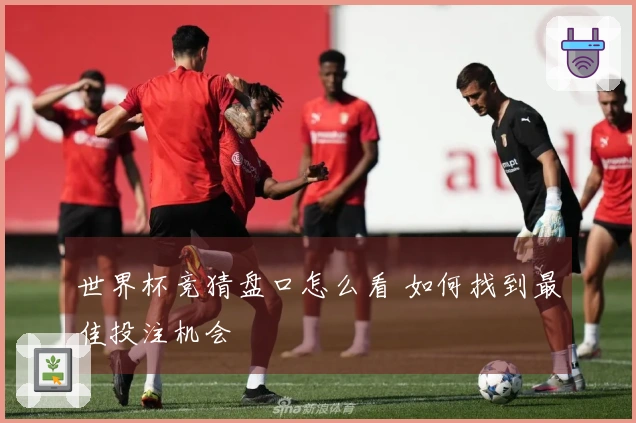 世界杯竞猜盘口怎么看 如何找到最佳投注机会