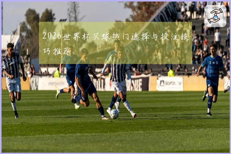 2026世界杯买球热门选择与投注技巧推荐