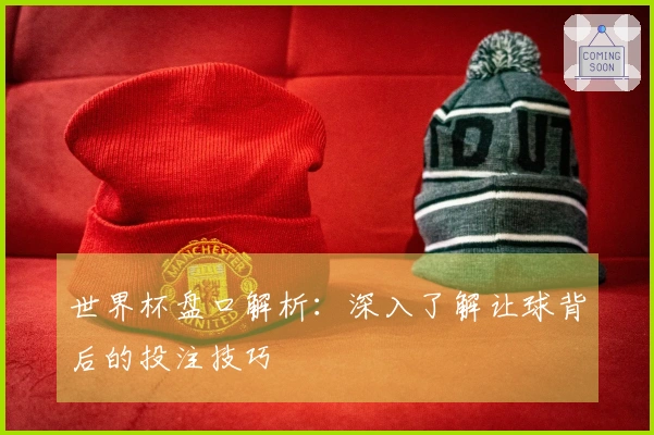 世界杯盘口解析：深入了解让球背后的投注技巧
