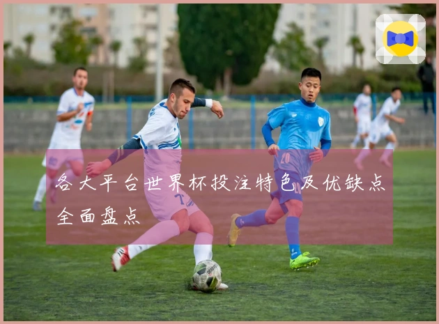 各大平台世界杯投注特色及优缺点全面盘点